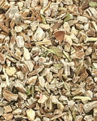 Echinacea Angustifolia organic herb tea